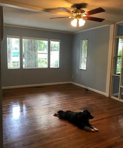 194 Habersham Dr — Photo 14