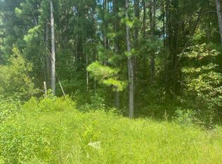 1190 Near Chair Factory Rd, Nakina, NC 28455