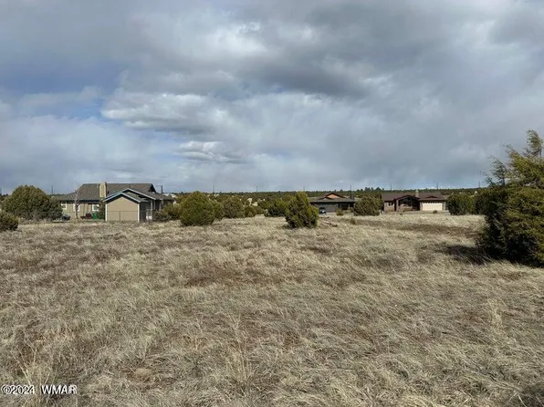 1000 S Ridgecreek Ln, Show Low, AZ 85901