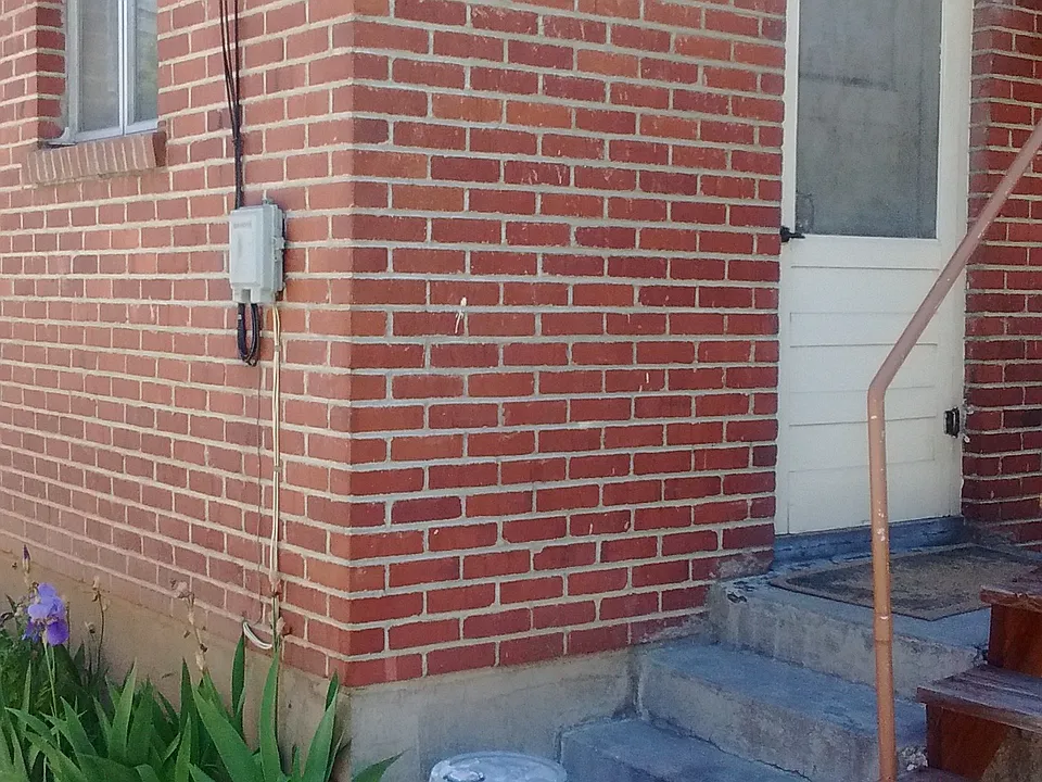 Back door