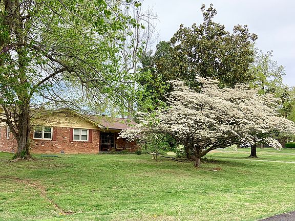 Flowering Dogwood