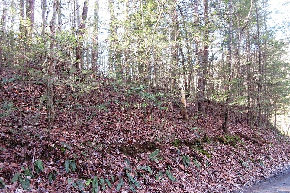 2nd image of Mill Stone Mountain Ln