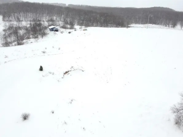 PARCEL Floreys Ranch Rd #D, Buckley, MI 49620