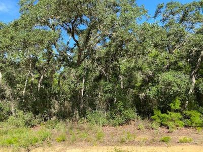 120 Willow St #15, Hawthorne, FL, 32640