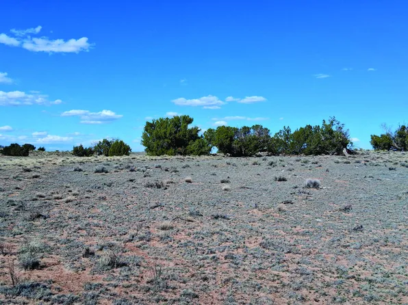 10.15 AC Unnamed Road #0, Sanders, AZ 86512