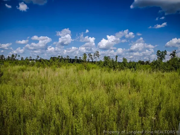 TRACT 15 Mitchell Rd, Fairmont, NC 28340