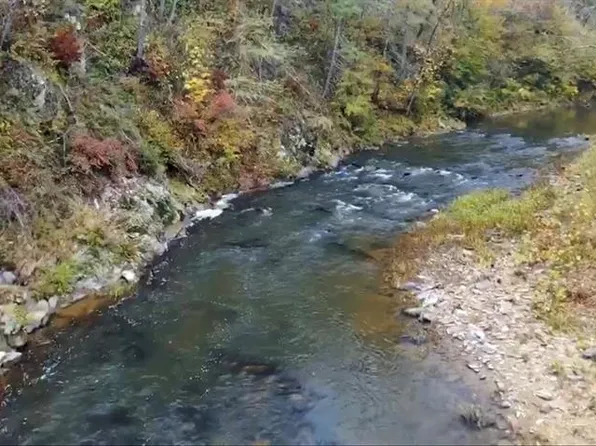 1737 Meadow Cir, Ellijay, GA 30540