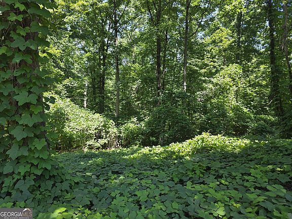 5th image of 0 Cowart Mountain Rd #2