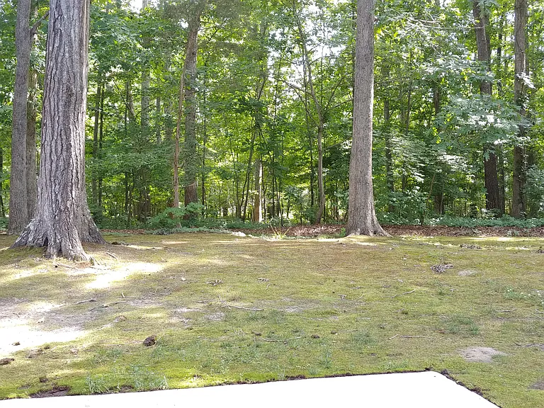 11 Forest Glen Dr — Photo 12