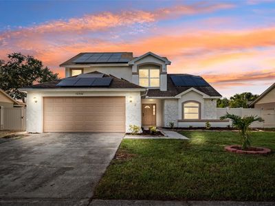 12306 Huckleberry Ct, Riverview, FL, 33569