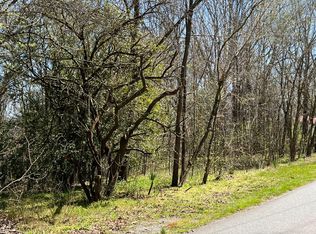 532 Pleasant Gap Rd #2, Ellijay, GA 30540