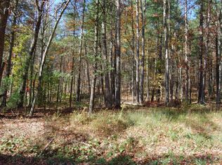 2010 Moncove Lake Access Rd, Gap Mills, WV 24941