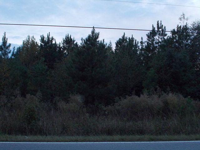1st image of 485 Bowman Branch Hwy
