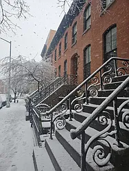 251 Baltic Street, #3