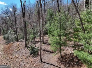 LOT 15 Native Trl, Blue Ridge, GA 30513