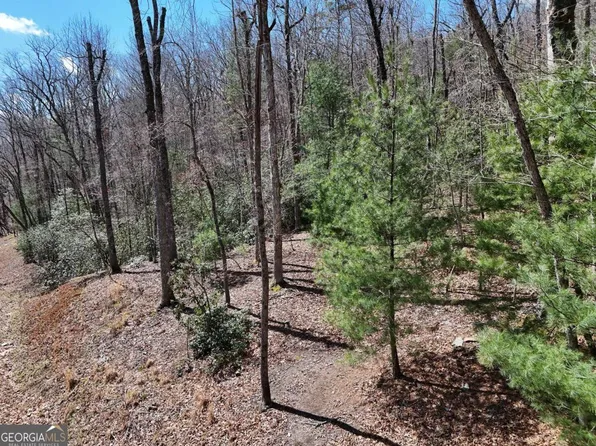 LOT 15 Native Trl, Blue Ridge, GA 30513