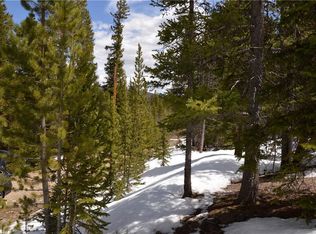 144 Orphan Boy Dr, Alma, CO 80420