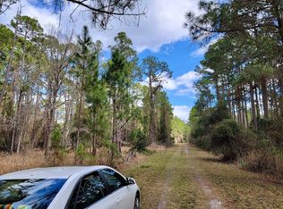 219 SE 1st St, Georgetown, FL 32139