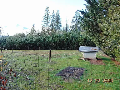 3 bed, 1344 sqft, $1,995 — Photo 3