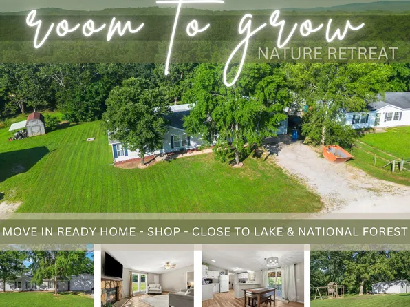 165 Clear Top Lane, Lampe, MO 65681