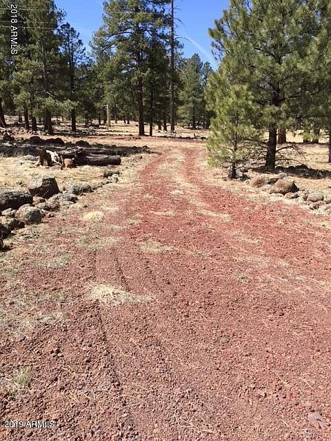 2nd image of 237 Double Cabin Rd