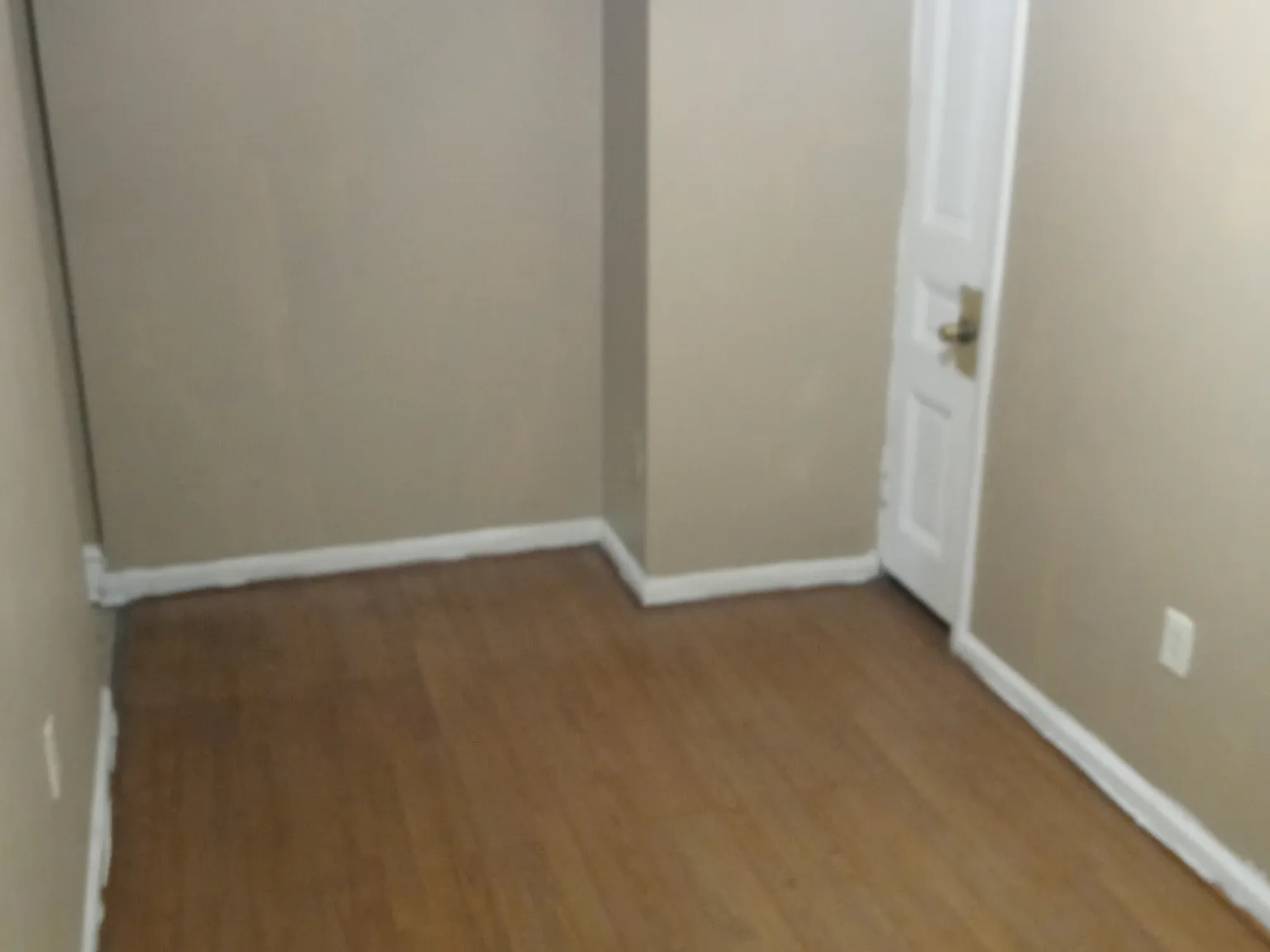 2 bed, 900 sqft, $1,250 — Photo 2