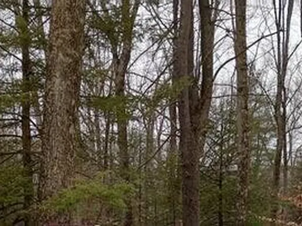 246 Laurel Dr, Millmont, PA 17845