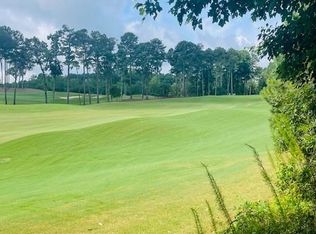 124 Hawks Ct #72, Ball Ground, GA