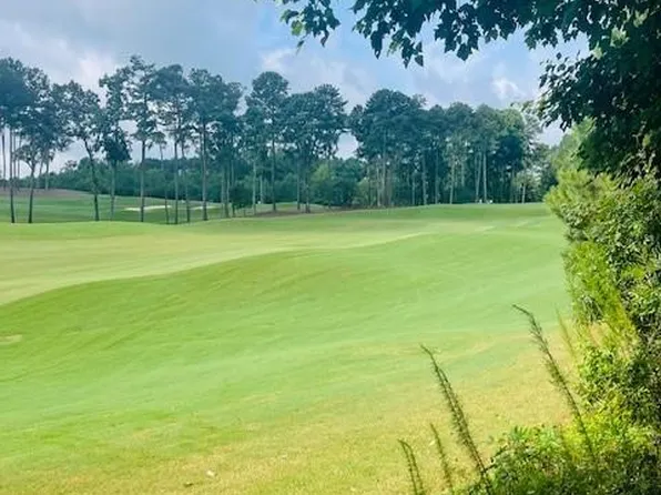 124 Hawks Ct #72, Ball Ground, GA 30107