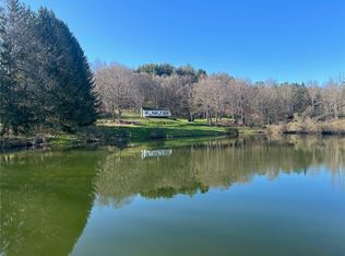 232 Eddie Martin Rd, Milford, NY 13807