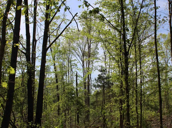 0 Maroney Rd, Medon, TN 38356