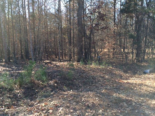 2nd image of Black Dirt Rd