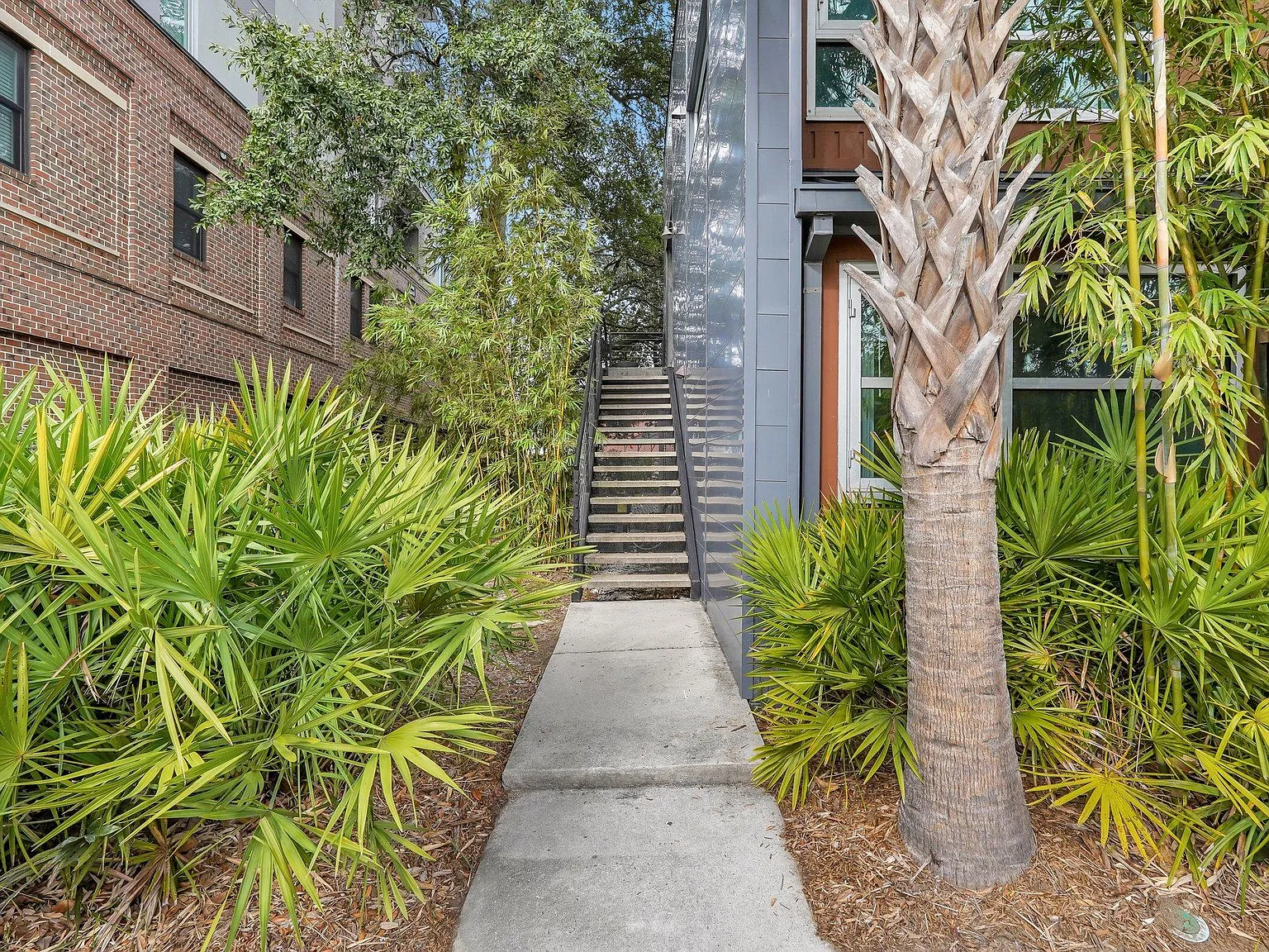536 Selma St — Photo 3