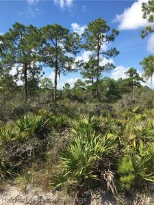 2113 Algonquin Dr, Sebring, FL, 33875