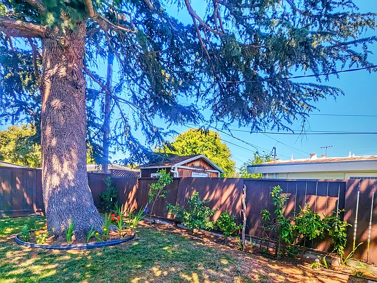 735 Lakewood Dr — Photo 12