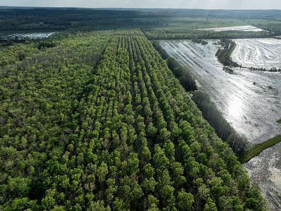 2nd image of 0 Bayou Derbonne Rd