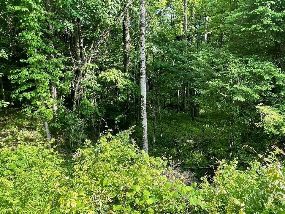 1st image of 439 Deer Creek Cir