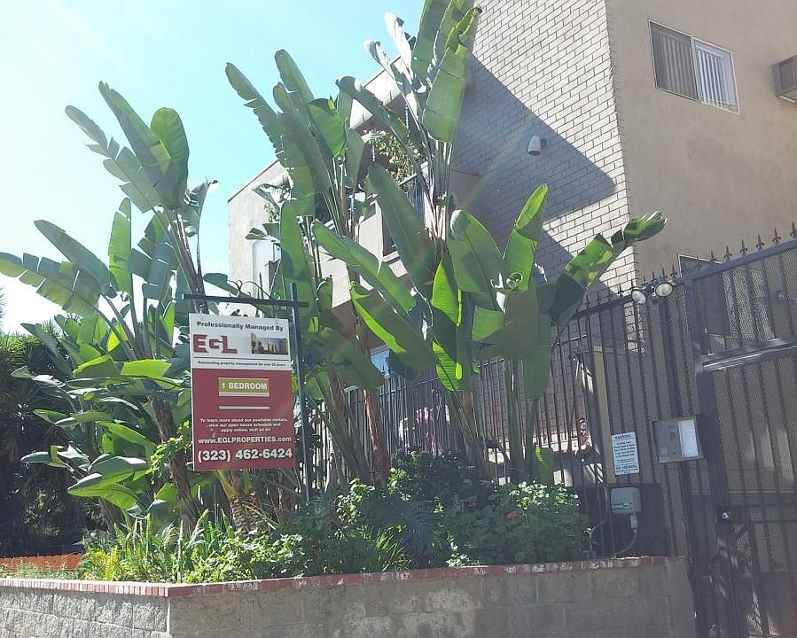 1st image of 1345 N Orange Dr APT 6