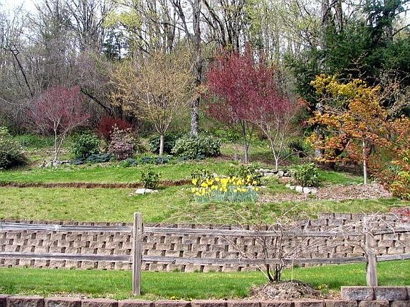 landscaped yard backs to greenspace