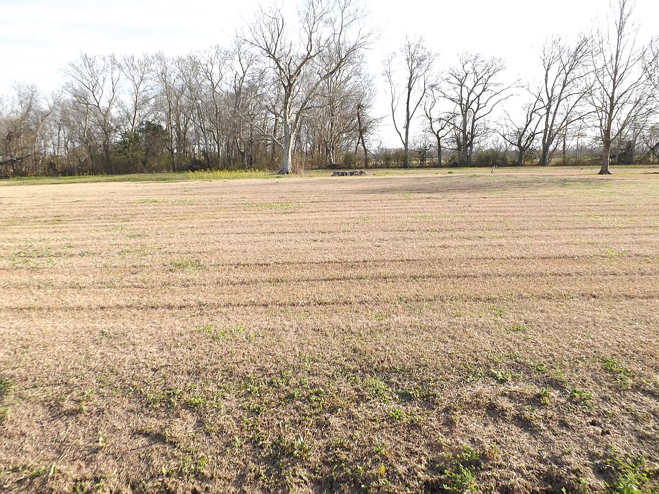 Lot 8
