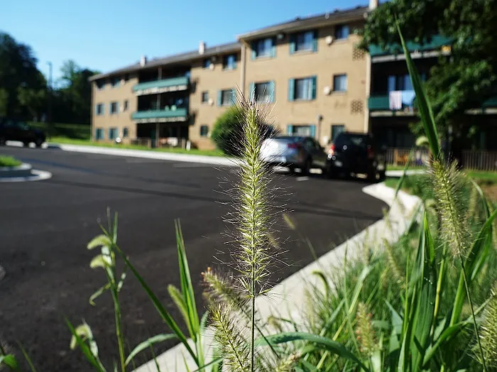 Maple Ridge Apartments — Photo 4
