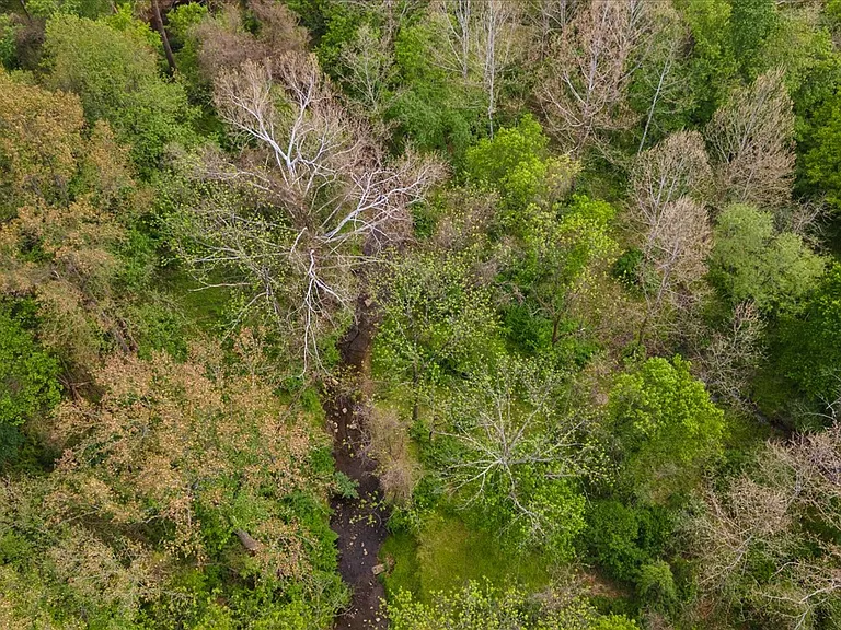 12107 Glen Mill Rd — Photo 49