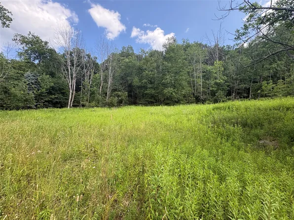 1305 Holly Hill Rd, Vestal, NY 13850