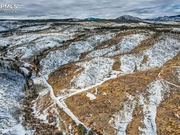 25 Lakeview Cir, Florissant, CO 80816