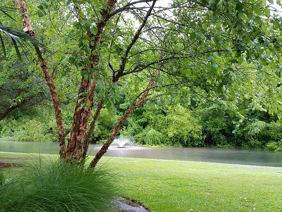 2nd image of 8041 Shadow Oak Dr