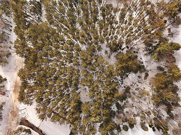 3rd image of LOT 6 Bonkowski Rd