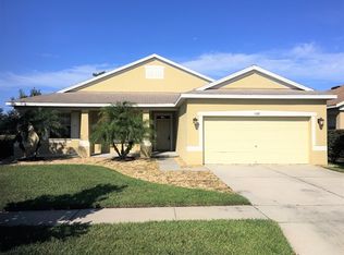 11337 Bridge Pine Dr, Riverview, FL 33569