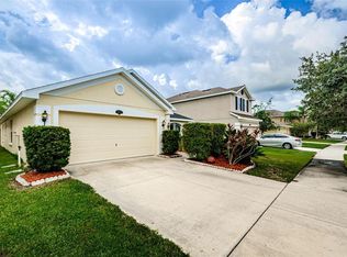 20229 Natures Spirit Dr, Tampa, FL 33647