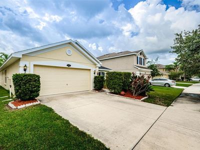 20229 Natures Spirit Dr, Tampa, FL, 33647