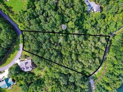 228 Black Hawk Dr, Ten Mile, TN, 37880